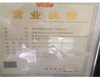 陜西博瀚公司的營業執照